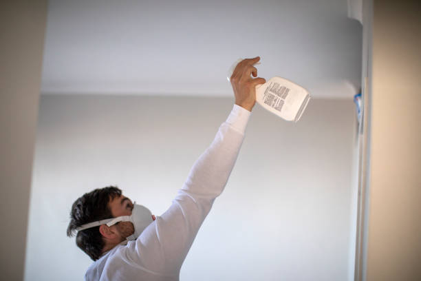 Best Mold Removal Process  in Hasbrouck Heights, NJ