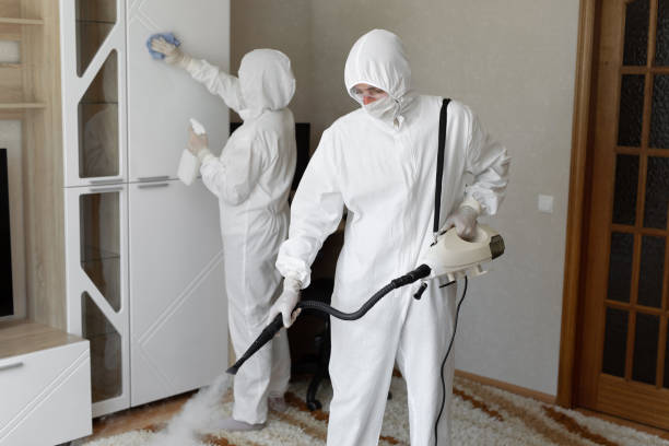 Best Toxic Mold Removal  in Hasbrouck Heights, NJ